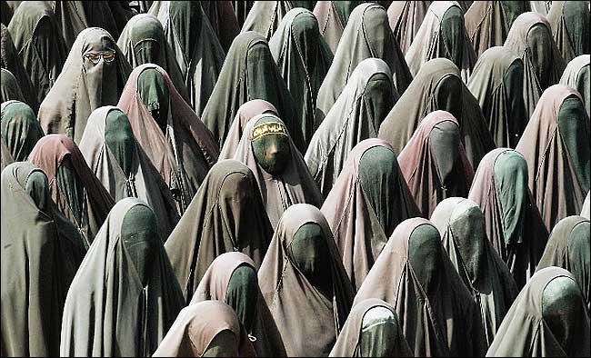 Emri:  burka1.jpg

Shikime: 739

Madhsia:  61.2 KB
