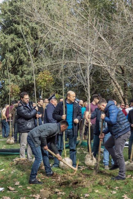 Emri:  pemet-te-liqeni2.jpg

Shikime: 304

Madhsia:  85.9 KB