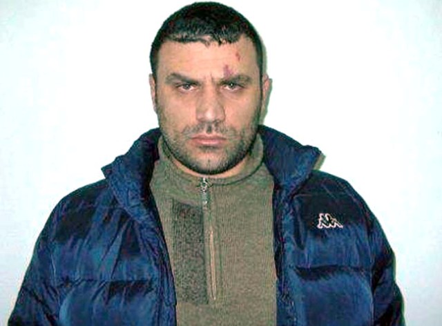 Emri:  Emiljano-Shullazi_0.jpg

Shikime: 1046

Madhsia:  50.8 KB