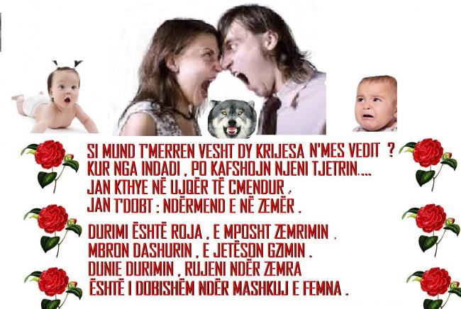 Emri:  4.jpg

Shikime: 2540

Madhsia:  60.2 KB