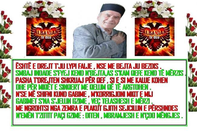 Emri:  12.jpg

Shikime: 113

Madhsia:  82.3 KB
