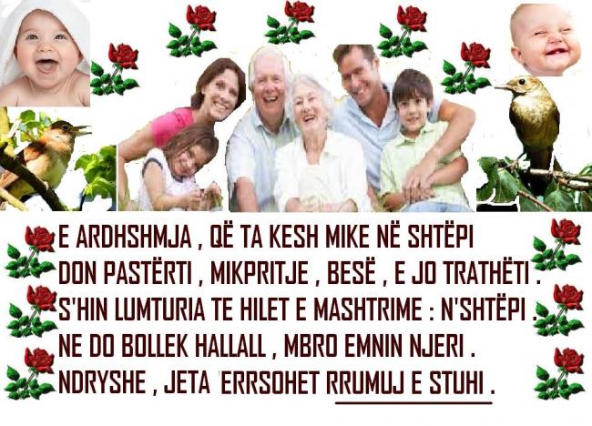 Emri:  30.jpg

Shikime: 54

Madhsia:  71.4 KB