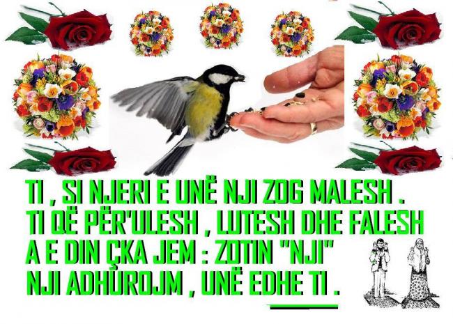 Emri:  34.jpg

Shikime: 42

Madhsia:  71.9 KB