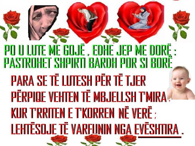 Emri:  1    ab.jpg

Shikime: 411

Madhsia:  77.9 KB