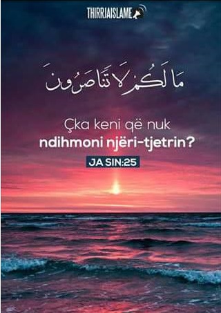 Emri:  fr2.jpg

Shikime: 407

Madhsia:  49.6 KB