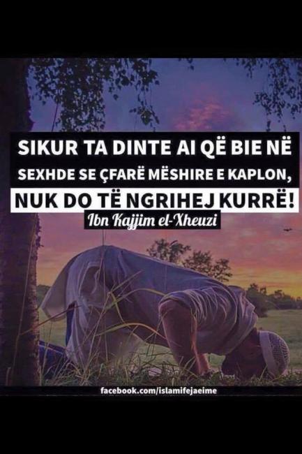 Emri:  fr4.jpg

Shikime: 465

Madhsia:  40.9 KB
