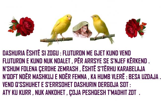 Emri:  BAHRI..2.jpg

Shikime: 4329

Madhsia:  58.0 KB