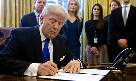 Emri:  1485447165trump-dapl.jpg

Shikime: 596

Madhsia:  33.5 KB