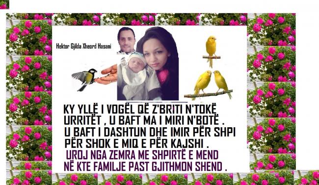 Emri:  BAHRI QELLIMI        +.jpg

Shikime: 302

Madhsia:  68.5 KB