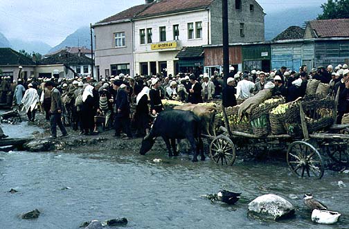 Emri:  5.jpg

Shikime: 1203

Madhsia:  84.0 KB