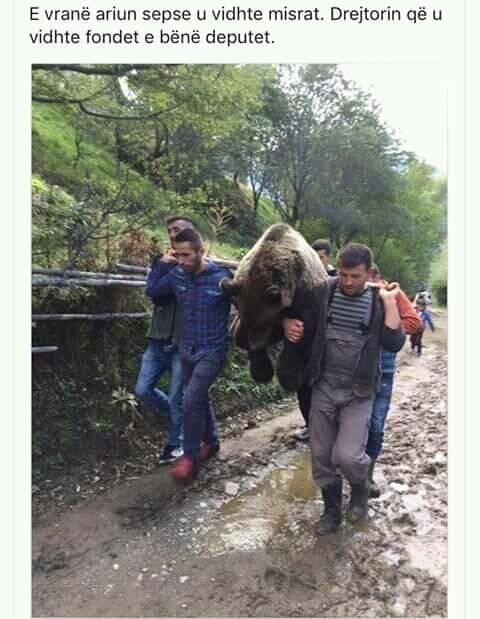 Emri:  93febd142e94f25054f14f8c36356a36075b8196.jpg

Shikime: 635

Madhsia:  55.8 KB