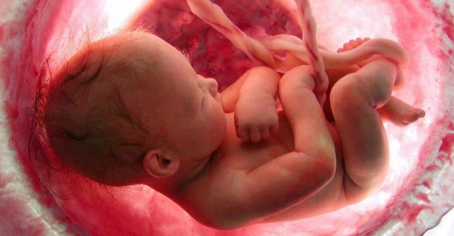 Emri:  baby-main-1.jpg

Shikime: 187

Madhsia:  28.4 KB