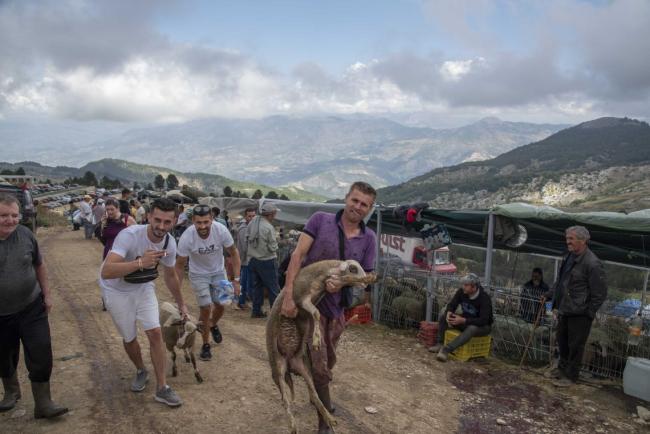 Emri:  FOTO-09_Cdo-vit-ne-malin-e-Tomorrit-theren-rreth-10-mije-krere-bageti-per-kurban-ne-shenje-begat.jpg

Shikime: 327

Madhsia:  43.0 KB