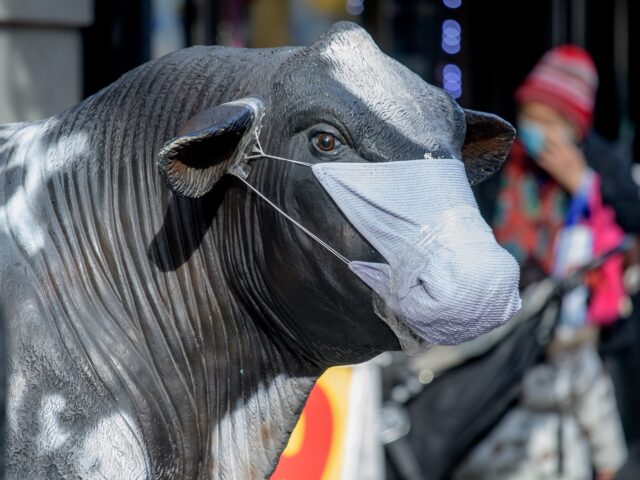 Emri:  cow-masking-640x480.jpg

Shikime: 109

Madhsia:  59.3 KB