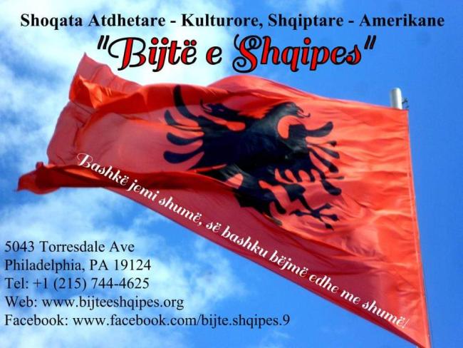 Emri:  bijte_e_shqipes.jpg

Shikime: 348

Madhsia:  54.0 KB