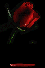 Emri:  img449f2df1956ee.gif

Shikime: 1931

Madhsia:  58.5 KB