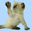 Emri:  catnaughty.gif

Shikime: 507

Madhsia:  14.9 KB
