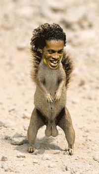 Emri:  ronaldinho_ferret_jpg.bmp

Shikime: 299

Madhsia:  69.4 KB