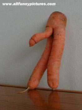 Emri:  carrot.jpg

Shikime: 2568

Madhsia:  9.9 KB
