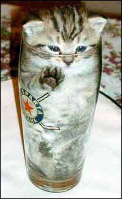 Emri:  Kat%20in%20de%20glas.jpg

Shikime: 2078

Madhsia:  17.2 KB