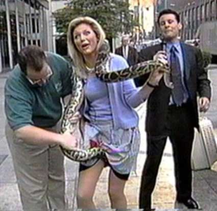 Emri:  snake.jpg

Shikime: 755

Madhsia:  25.4 KB