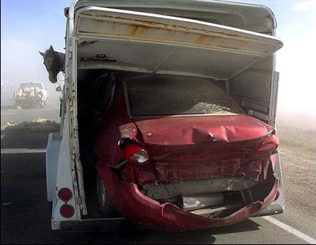 Emri:  Horse-Crash.jpg

Shikime: 6411

Madhsia:  40.6 KB