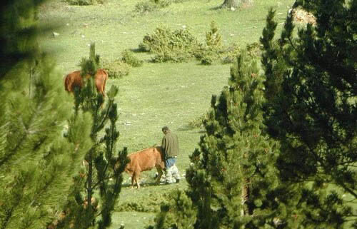 Emri:  Pic1390.jpg

Shikime: 1690

Madhsia:  66.1 KB