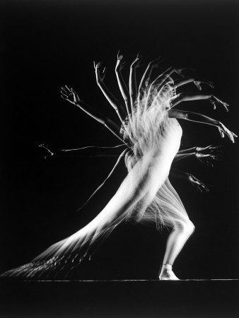 Emri:  stroboscopic-study-of-an-arm-movement-made-by-dancer-patricia-mcbride_u-l-p76rh10.jpg

Shikime: 97

Madhsia:  16.5 KB