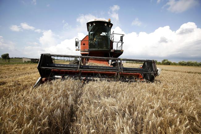 Emri:  107244357-1684656307731-gettyimages-452840356-ITALY_WHEAT_HARVEST.jpg

Shikime: 127

Madhsia:  64.4 KB