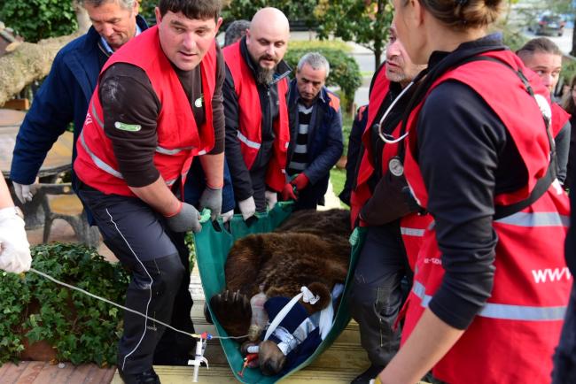 Emri:  Ekipi-i-Four-Paws-duke-transportuar-Ariun-Mark-drejt-Ambulances_foto_Nensi-Bogdani.jpg

Shikime: 78

Madhsia:  58.0 KB