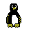 pinguini